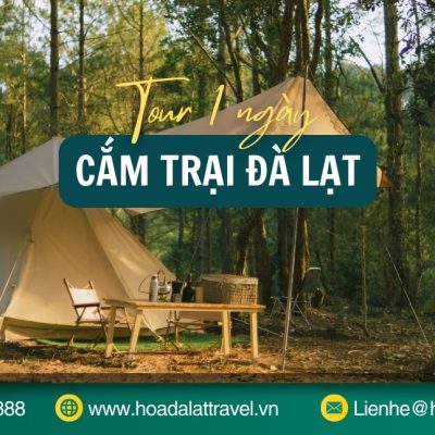 Tour cắm trại Đà Lạt