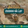 Tour Zoodoo Đà Lạt