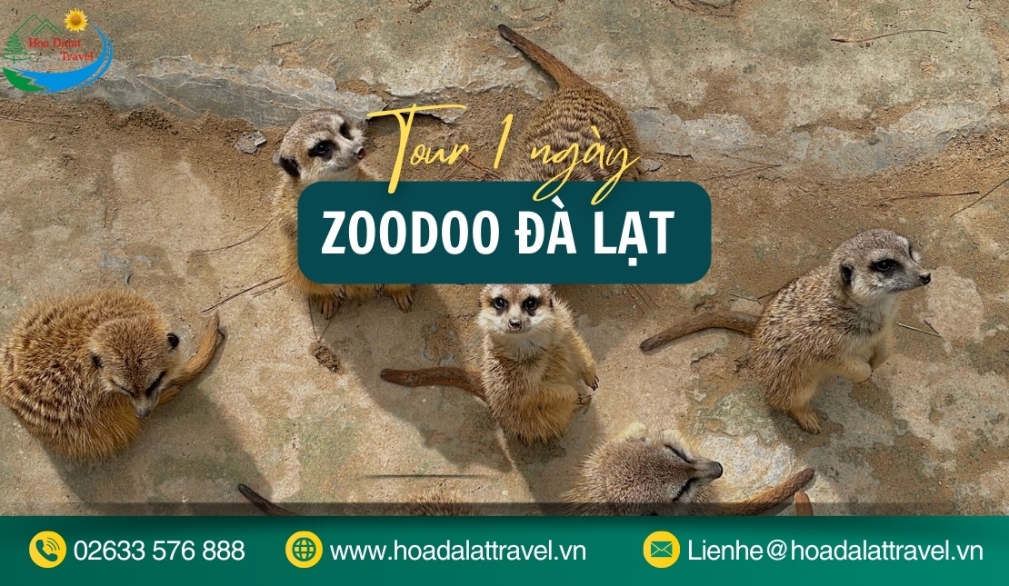 Tour Zoodoo Đà Lạt