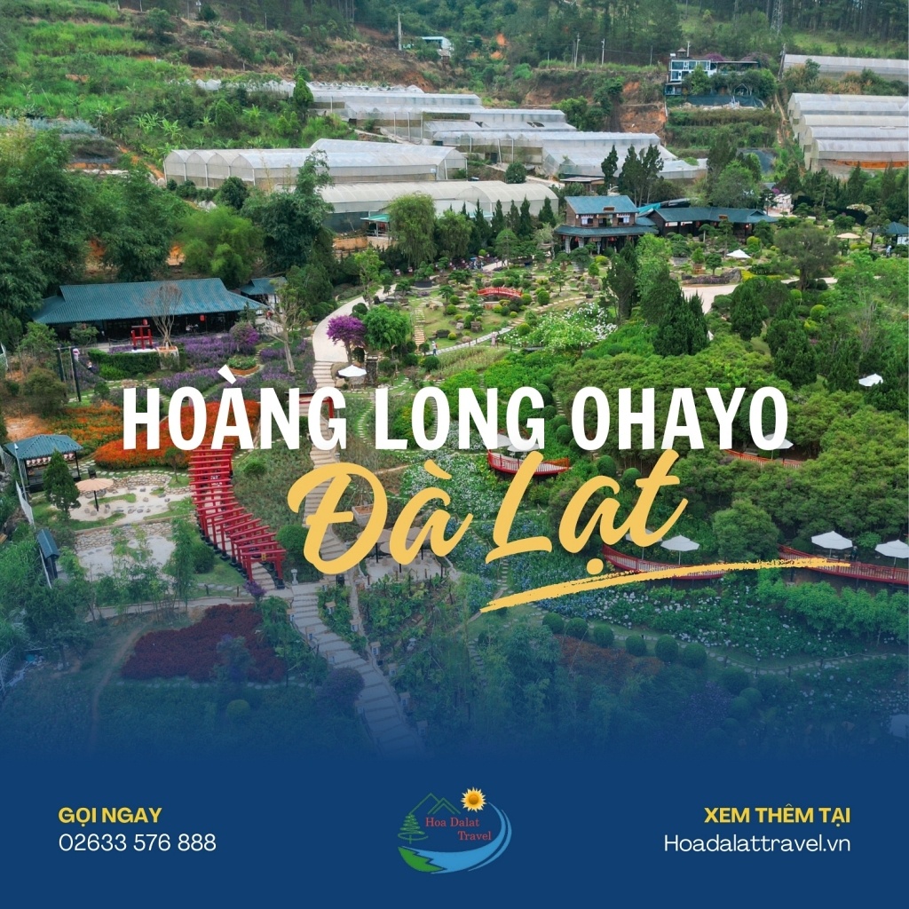 Hoàng Long Ohayo