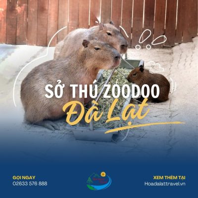 Sở thú Zoodoo Đà Lạt