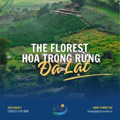 The Florest - Hoa Trong Rừng Đà Lạt