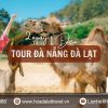 Tour Đà Nẵng Đà Lạt 2 ngày 1 đêm