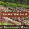 Tour Nha Trang Đà Lạt 3 ngày 2 đêm