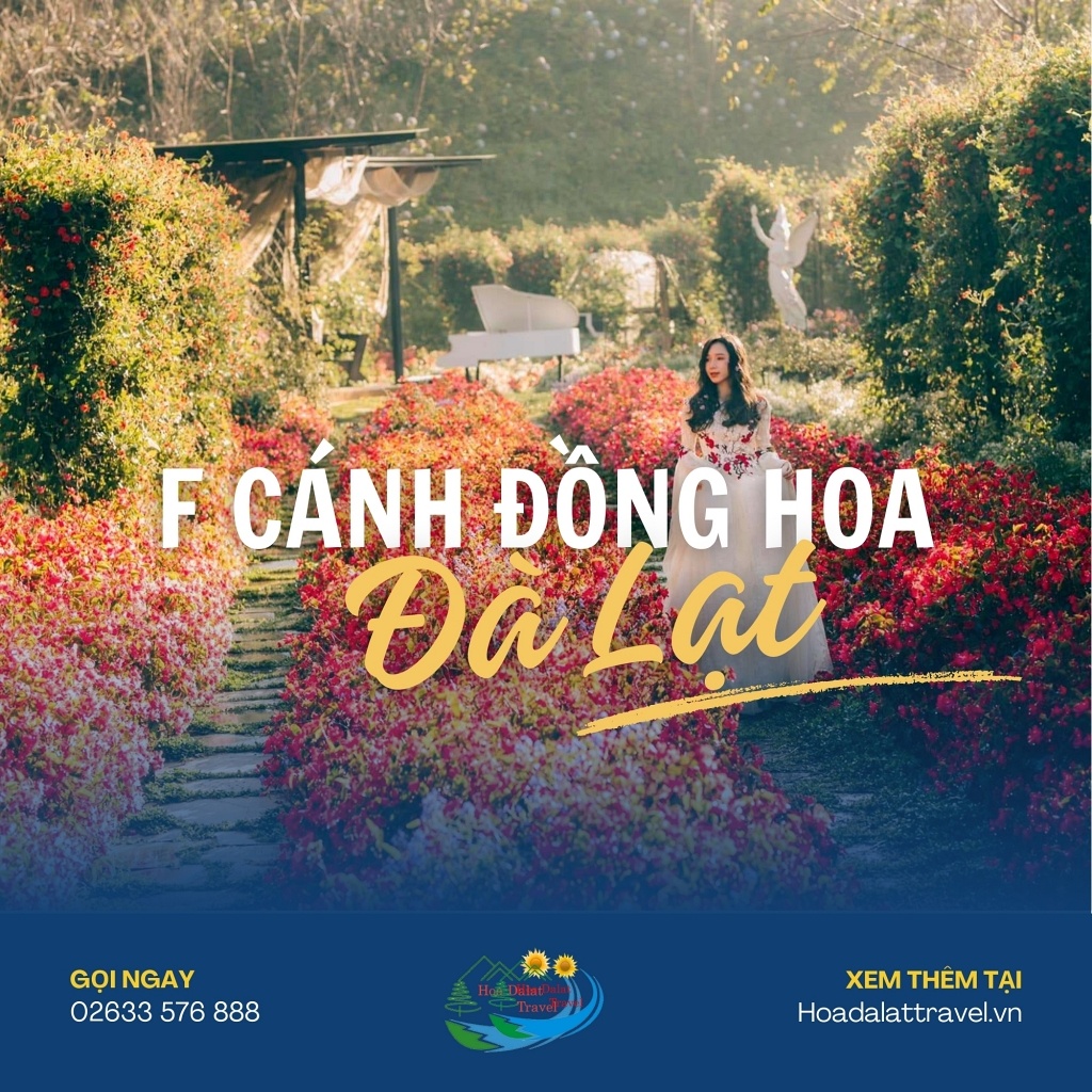 F Cánh Đồng Hoa Đà Lạt