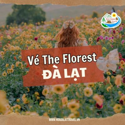 Vé The Florest - Hoa Trong Rừng Đà Lạt