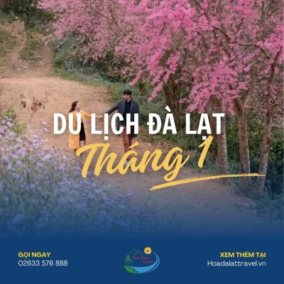 Du lịch Đà Lạt tháng 1