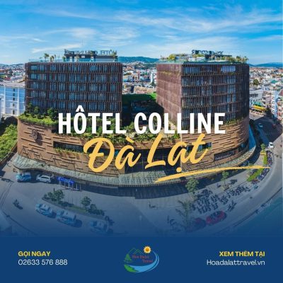 Hôtel Colline Đà Lạt