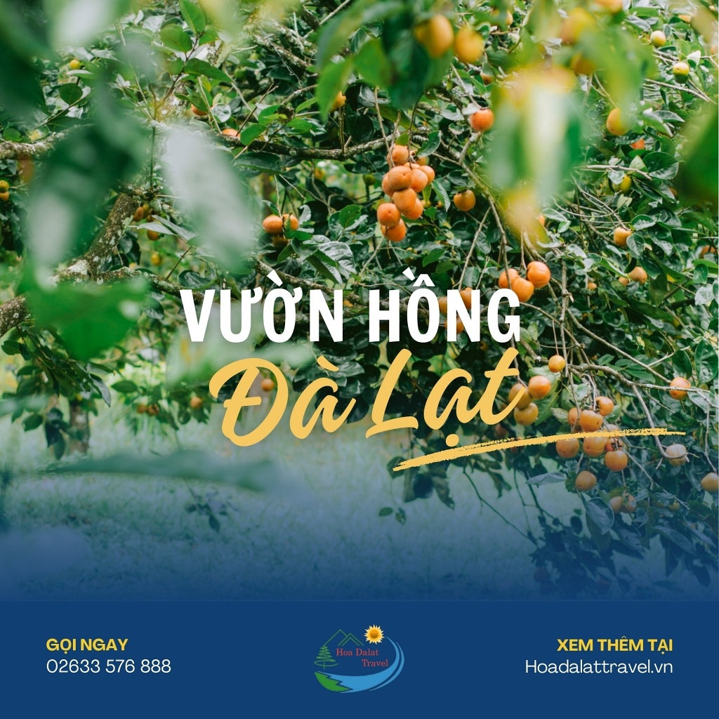 Vườn hồng Đà Lạt