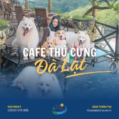 Cafe thú cưng Đà Lạt