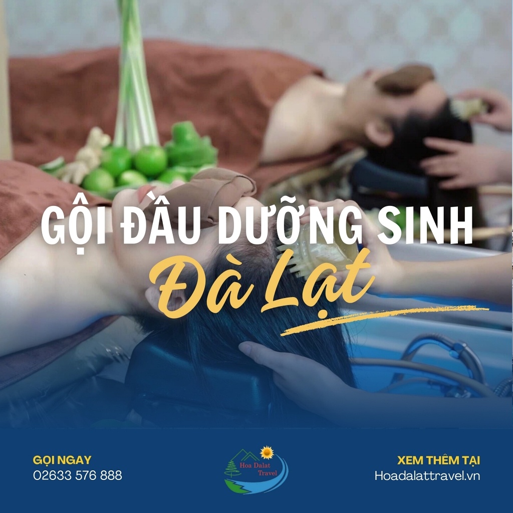 Gội đầu dưỡng sinh Đà Lạt