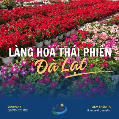 Làng Hoa Thái Phiên