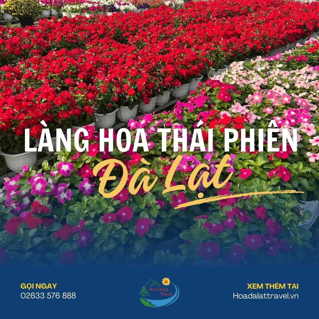 Làng Hoa Thái Phiên