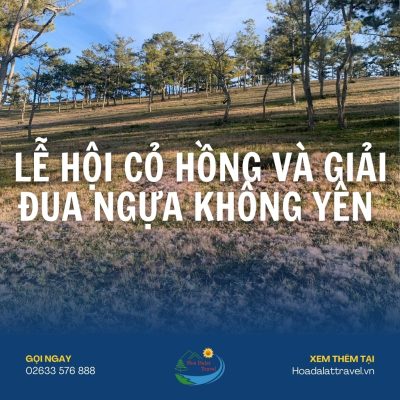 Lễ hội Cỏ Hồng Đà Lạt