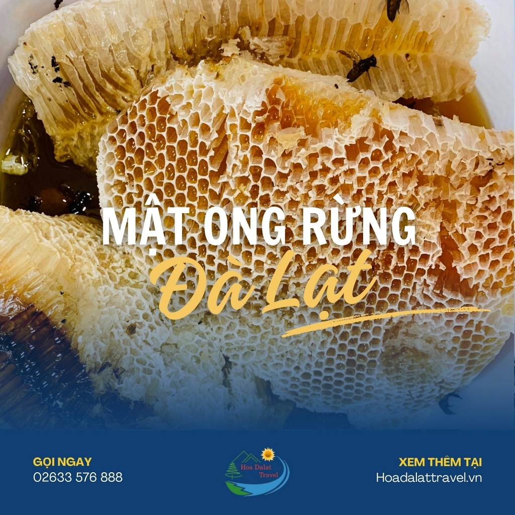 Mật ong rừng Đà Lạt