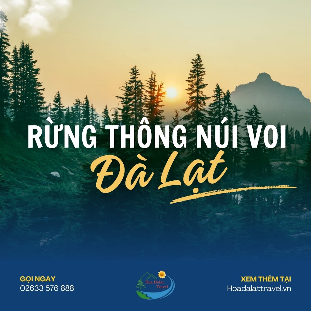 Rừng Thông Núi Voi Đà Lạt