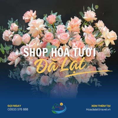 Shop hoa tươi Đà Lạt