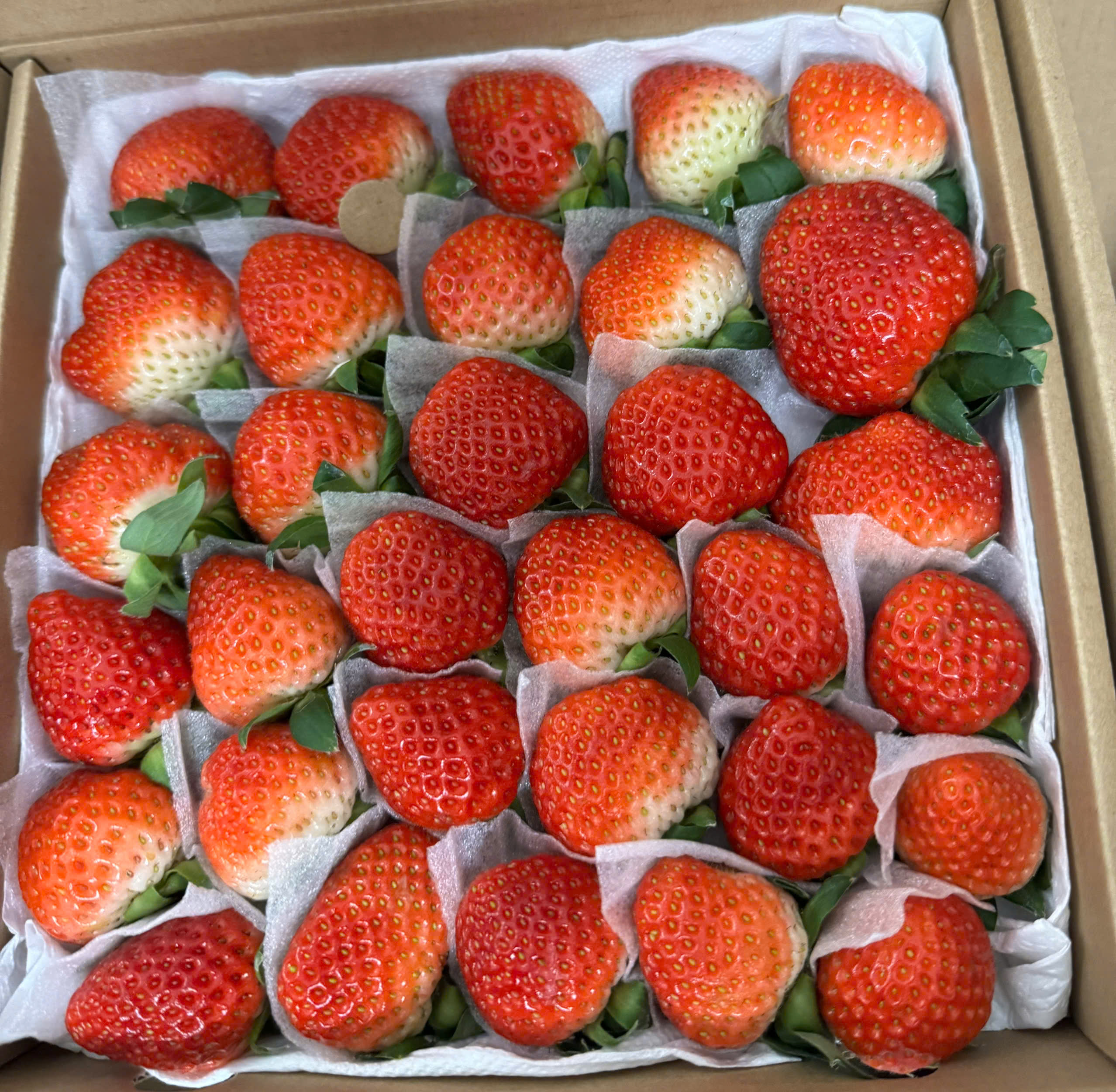 Seonfarm Đà Lạt