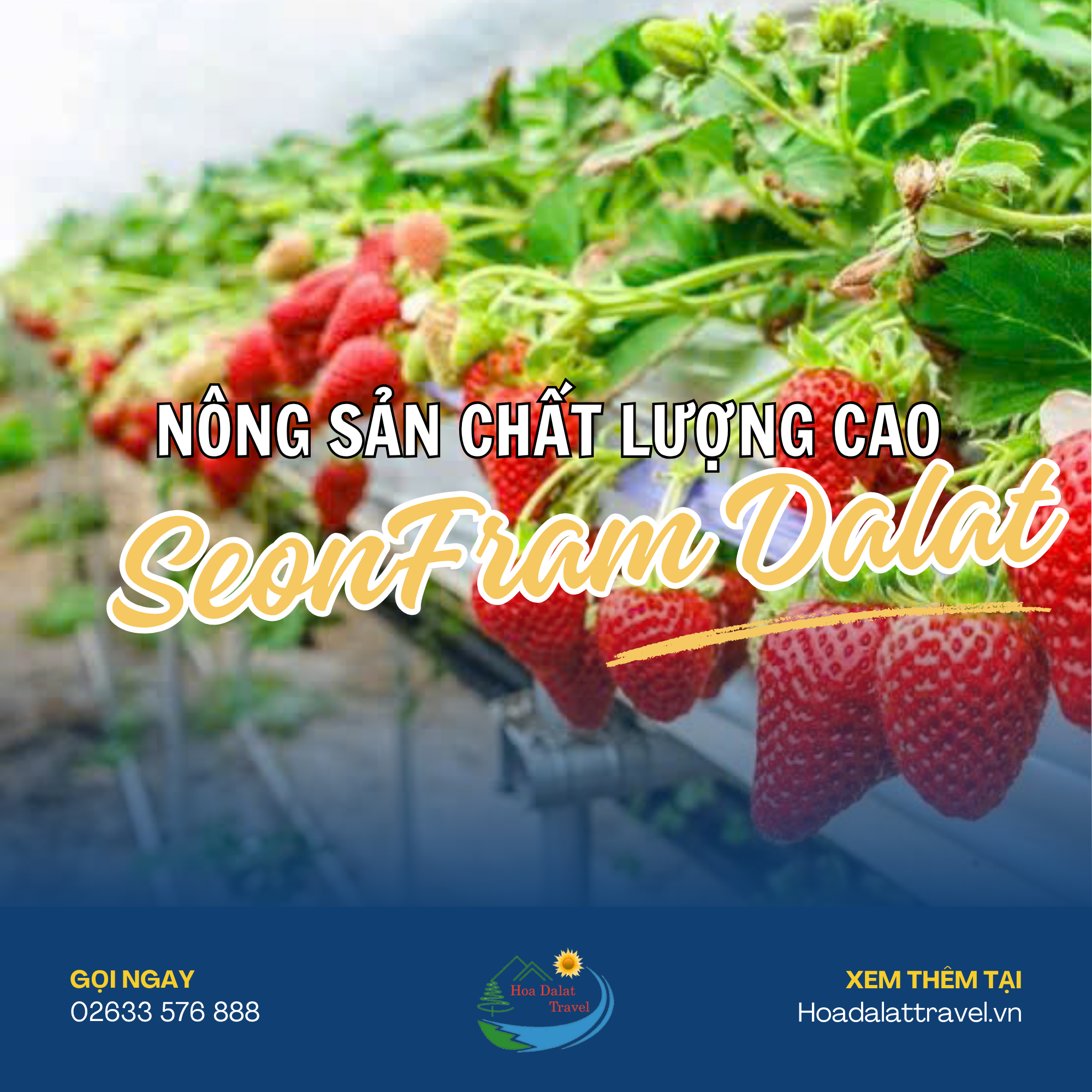 SeonFarm nông sản Đà Lạt chất lượng cao